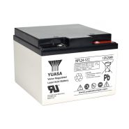 Yuasa NPL24-12I 12V 24Ah  L166 B175 H125mm, M5