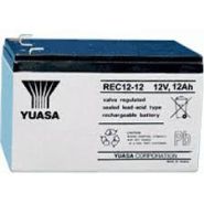 Yuasa REC12-12 12V 12Ah  L151 B98 H94mm, Faston 6,35mm