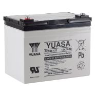 Yuasa REC36-12 12V 36Ah  L196 B130 H169mm, M5